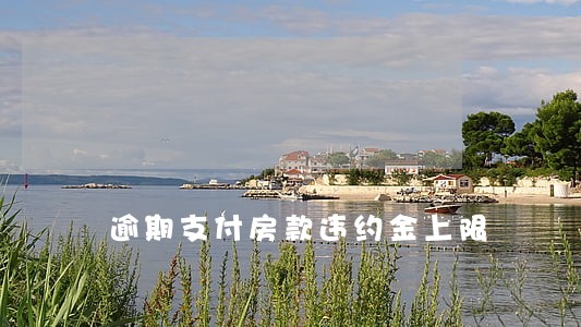 逾期支付房款违约金上限 逾期支付房款违约金上限