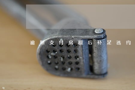 逾期支付房租后补足违约金 逾期支付房租后补足违约金