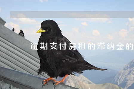 逾期支付房租的滞纳金的标准 逾期支付房租的滞纳金的标准