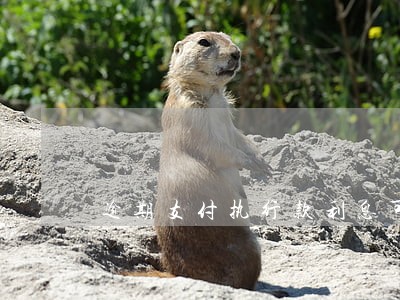 逾期支付执行款利息可以免除吗 逾期支付执行款利息可以免除吗