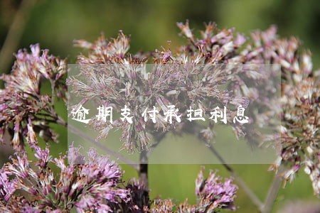 逾期支付承担利息 逾期支付承担利息
