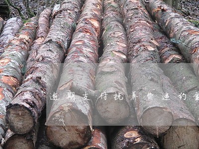 逾期支付抚养费违约金 逾期支付抚养费违约金