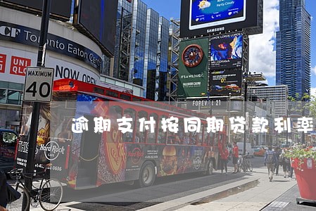 逾期支付按同期贷款利率计算 逾期支付按同期贷款利率计算