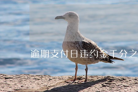 逾期支付日违约金千分之五 逾期支付日违约金千分之五