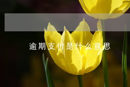 逾期支付是什么意思