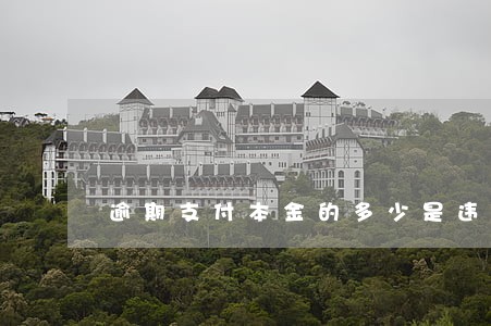 逾期支付本金的多少是违约金