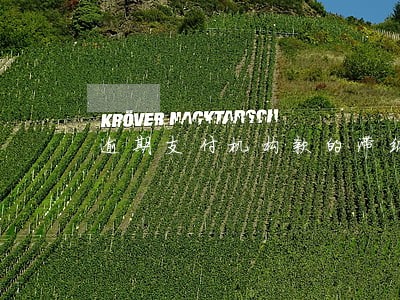 逾期支付机构款的滞纳金