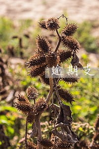 逾期支付材料款怎么计算 逾期支付材料款怎么计算
