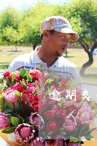 逾期支付案由 逾期支付案由