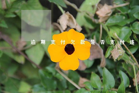 逾期支付欠款是否支付违约金 逾期支付欠款是否支付违约金