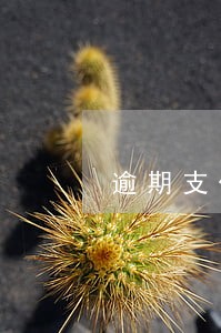 逾期支付欠款是否支付逾期利息