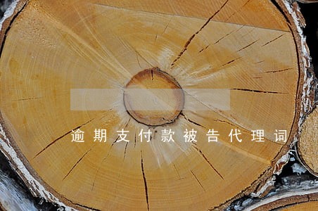 逾期支付款被告代理词 逾期支付款被告代理词