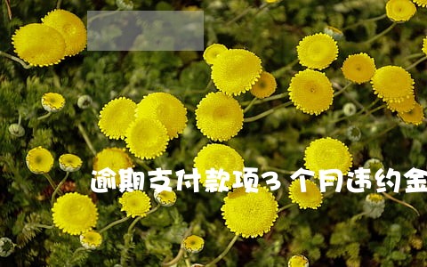 逾期支付款项3个月违约金
