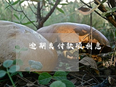 逾期支付款项利息 逾期支付款项利息