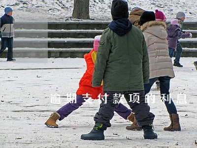 逾期支付款项的利息 逾期支付款项的利息