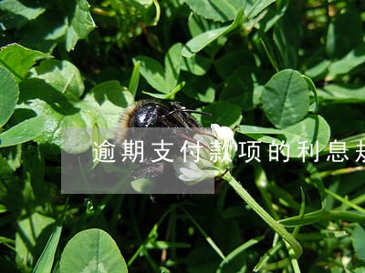 逾期支付款项的利息规定 逾期支付款项的利息规定