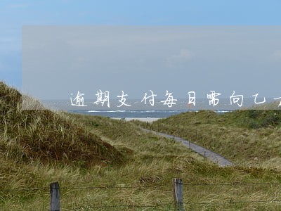 逾期支付每日需向乙方支付 逾期支付每日需向乙方支付