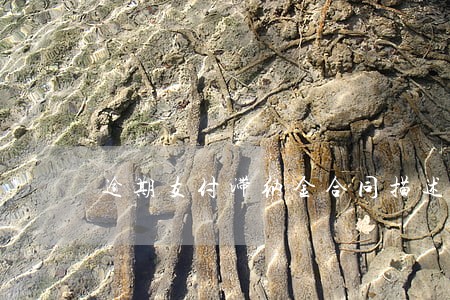 逾期支付滞纳金合同描述