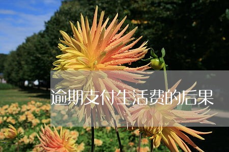 逾期支付生活费的后果 逾期支付生活费的后果