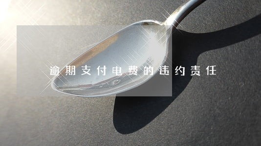 逾期支付电费的违约责任 逾期支付电费的违约责任