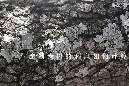 逾期支付的利息如何计算 逾期支付的利息如何计算
