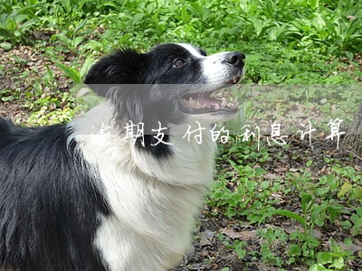 逾期支付的利息计算 逾期支付的利息计算