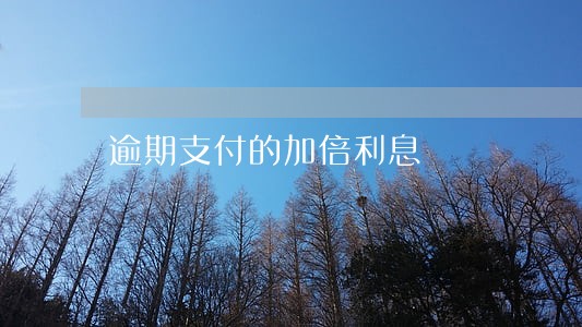 逾期支付的加倍利息 逾期支付的加倍利息