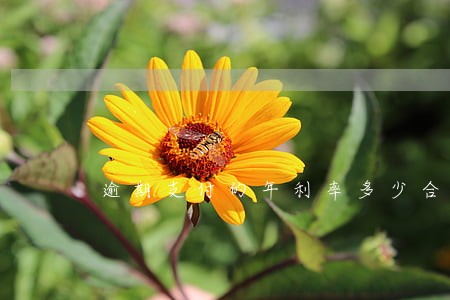 逾期支付的年利率多少合适
