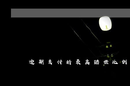 逾期支付的最高赔偿比例 逾期支付的最高赔偿比例