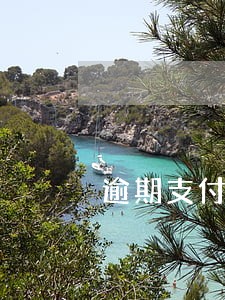 逾期支付的条款