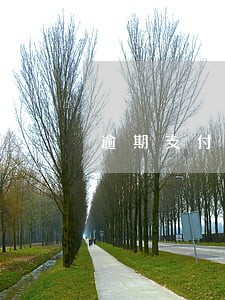 逾期支付的民事责任 逾期支付的民事责任