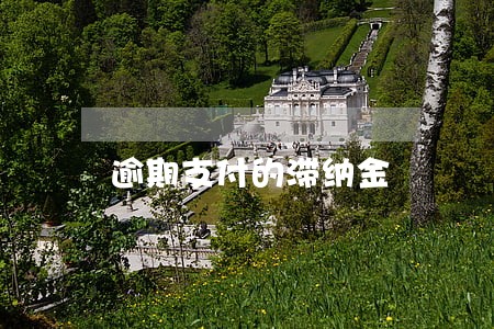 逾期支付的滞纳金 逾期支付的滞纳金