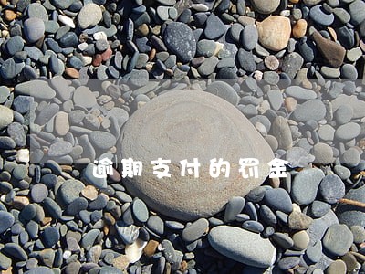 逾期支付的罚金 逾期支付的罚金