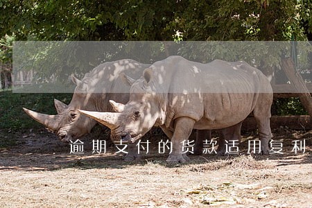 逾期支付的货款适用复利规定 逾期支付的货款适用复利规定