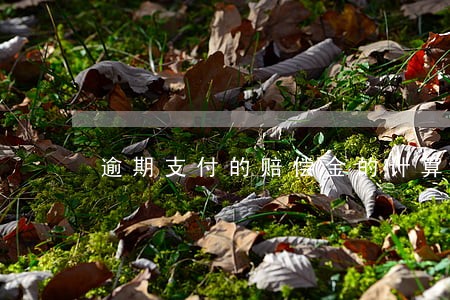 逾期支付的赔偿金的计算公式是 逾期支付的赔偿金的计算公式是