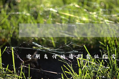 逾期支付的违约责任约定 逾期支付的违约责任约定