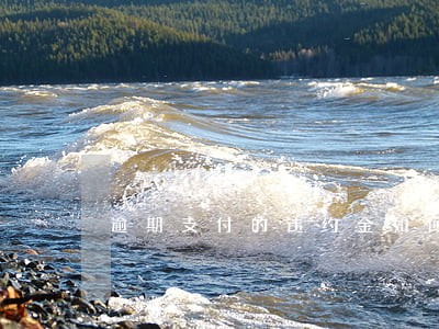 逾期支付的违约金如何计算 逾期支付的违约金如何计算