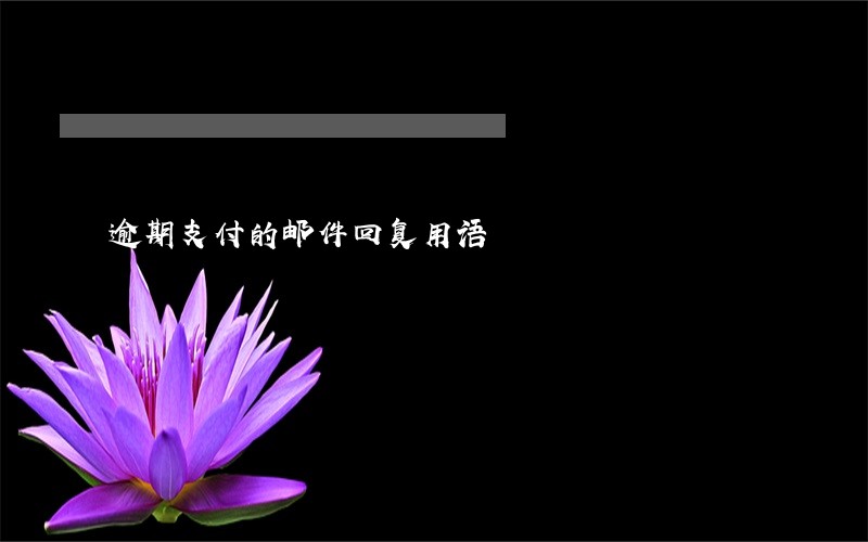 逾期支付的邮件回复用语 逾期支付的邮件回复用语