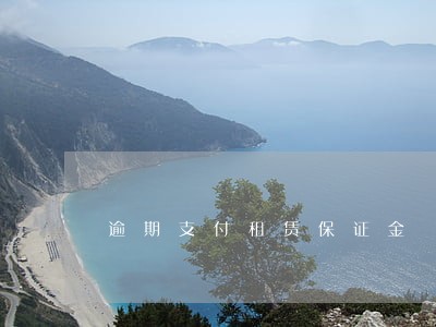 逾期支付租赁保证金 逾期支付租赁保证金