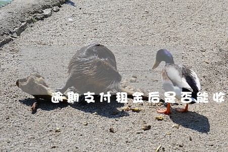 逾期支付租金后是否能收违约金