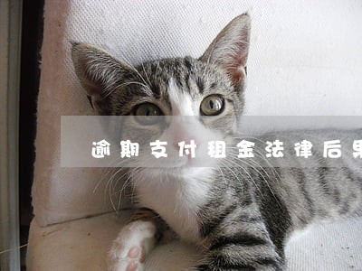 逾期支付租金法律后果 逾期支付租金法律后果