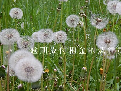 逾期支付租金的法律责任 逾期支付租金的法律责任