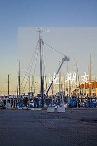 逾期支付租金的违约 逾期支付租金的违约