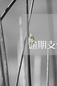 逾期支付租金的违约金法律规定 逾期支付租金的违约金法律规定