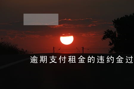 逾期支付租金的违约金过高 逾期支付租金的违约金过高
