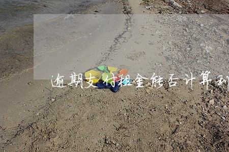 逾期支付租金能否计算利息 逾期支付租金能否计算利息