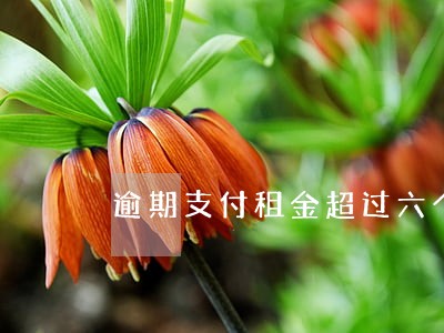 逾期支付租金超过六个月 逾期支付租金超过六个月