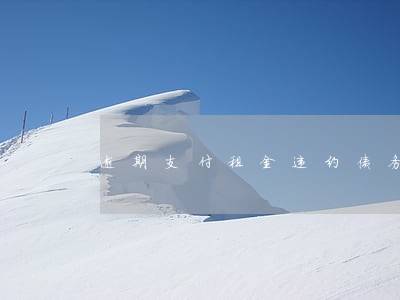 逾期支付租金违约债务 逾期支付租金违约债务