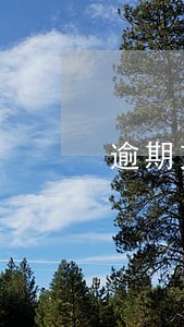 逾期支付租金违约金判决书 逾期支付租金违约金判决书