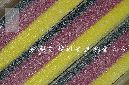 逾期支付租金违约金千分之五 逾期支付租金违约金千分之五